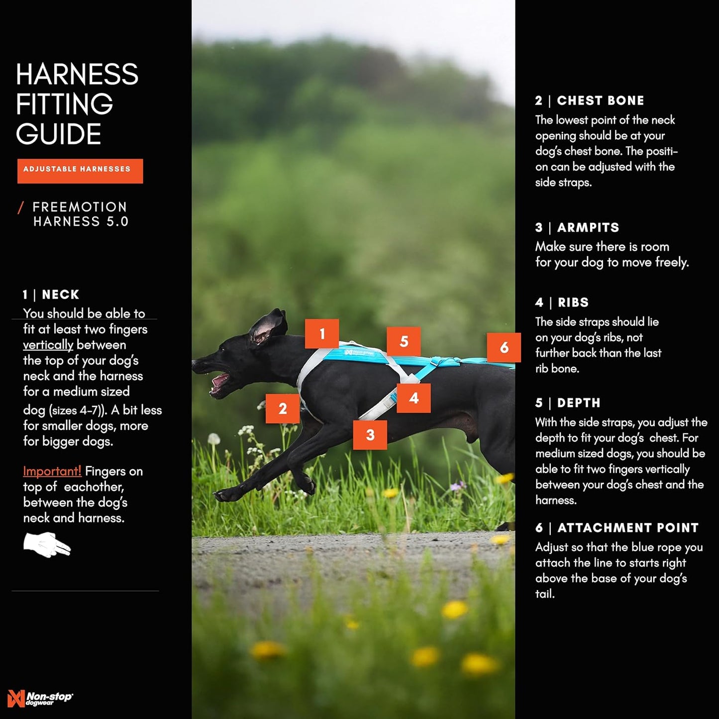 Freemotion Harness 5.0 Hundezuggeschirr, 6 schwarz/orange