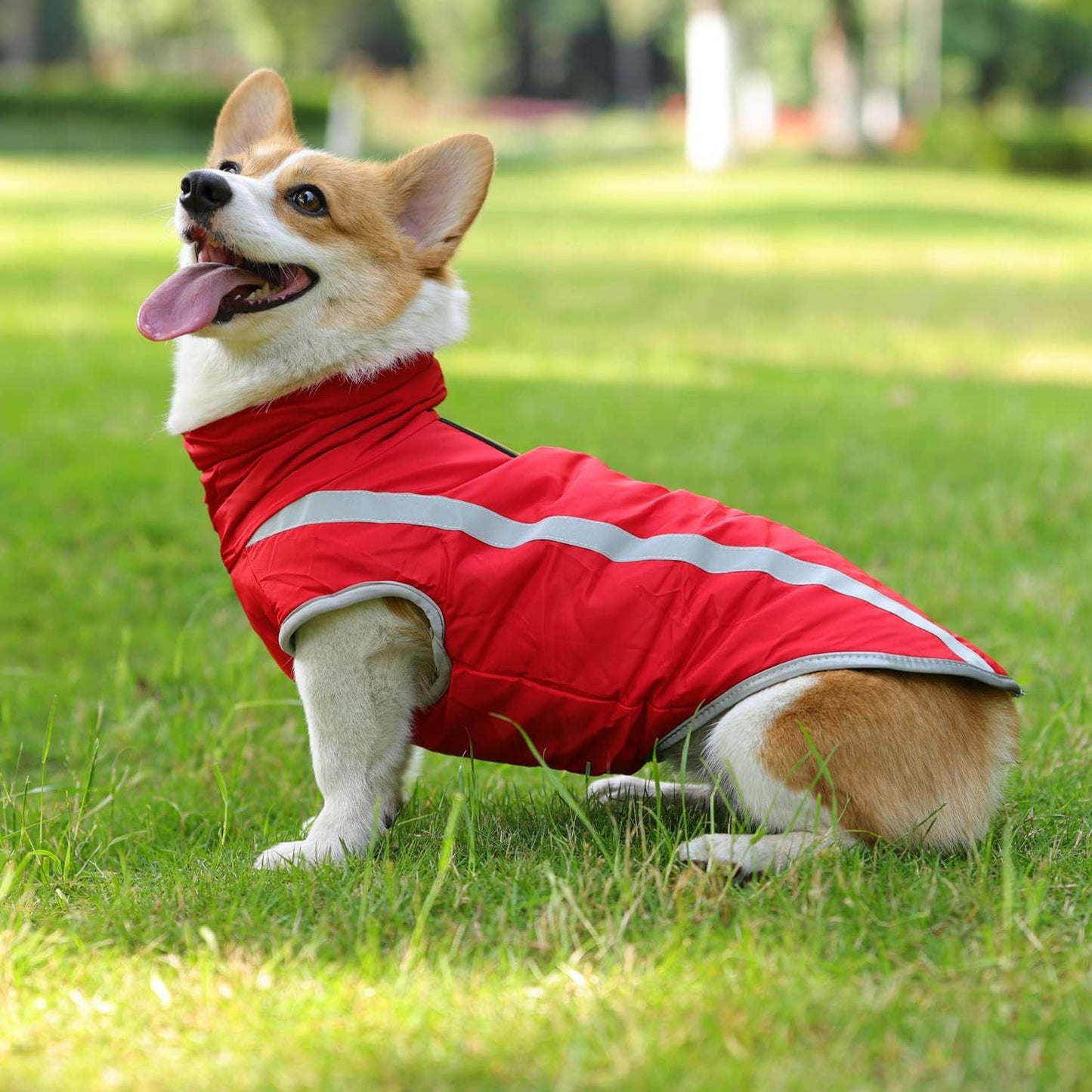 Hundemantel Wasserdicht Fleecegefüttert Winterjacke, Rot XL
