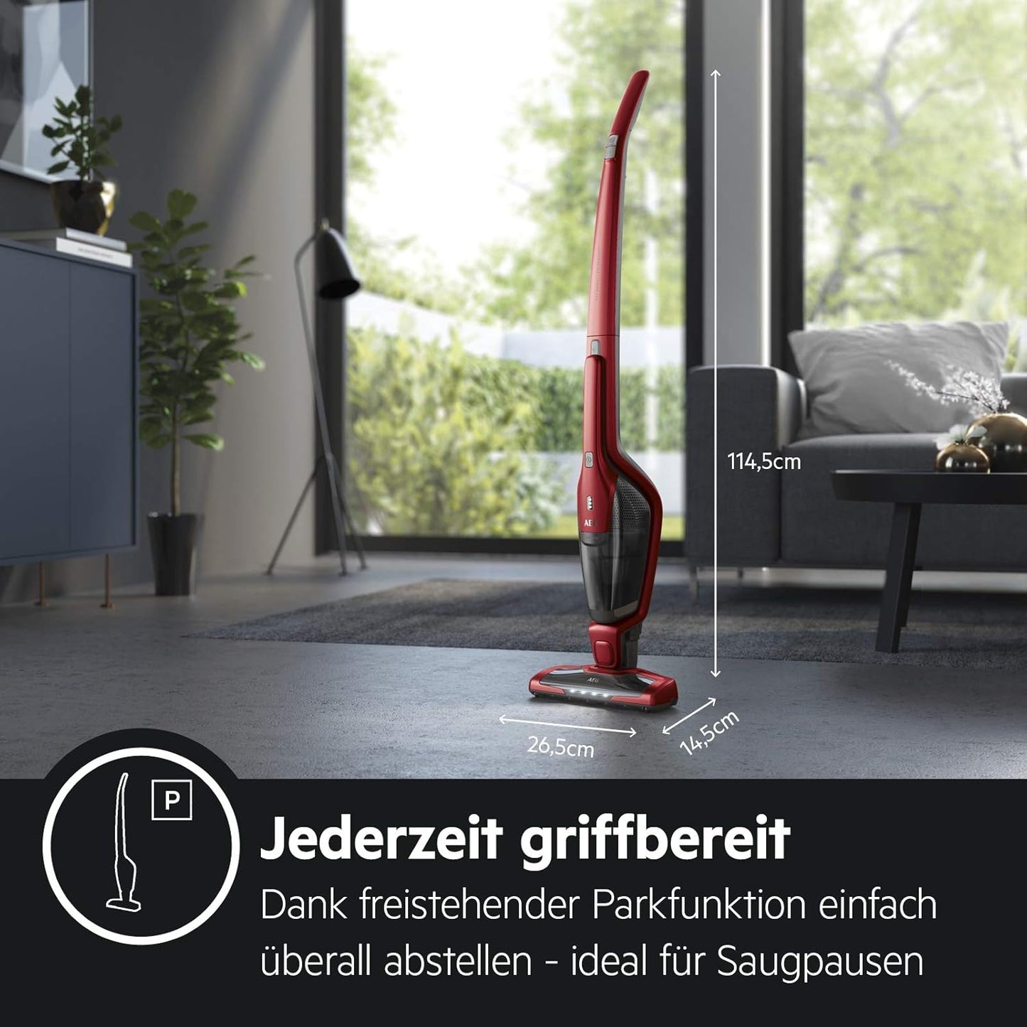 2in1 Kabelloser Akkustaubsauger mit Tierhaardüse, Serie 3000 ; Rot