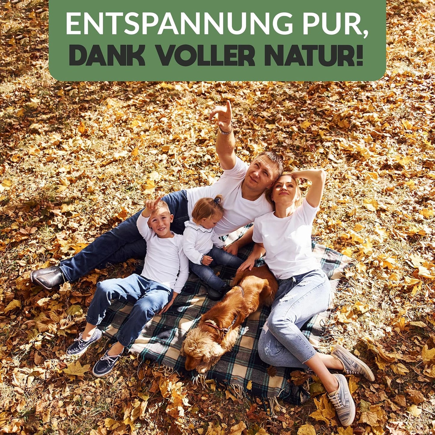 4er-Set Nistkasten, 4 Stück