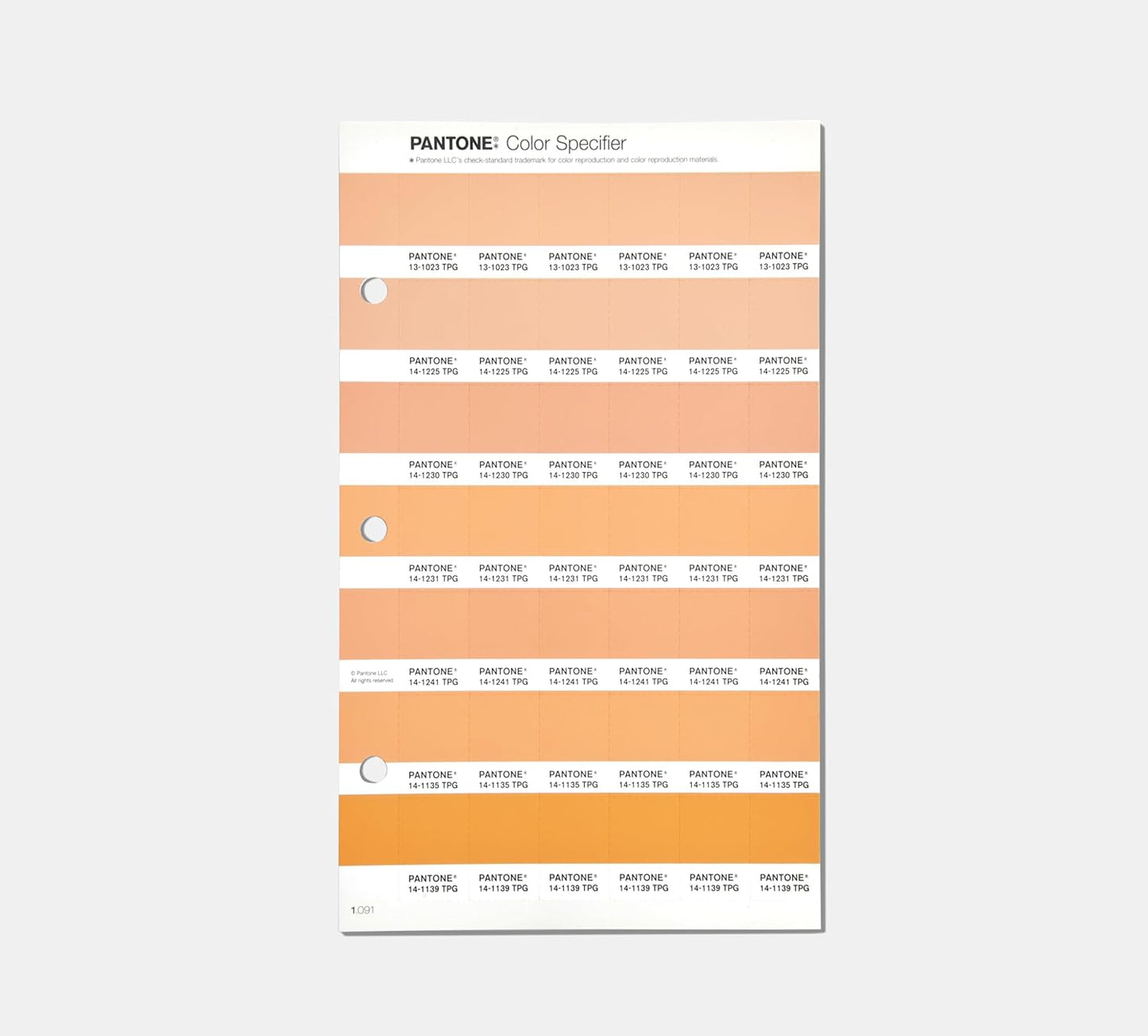 FHI Color Guide mit Jahresfarbauswahl 2024