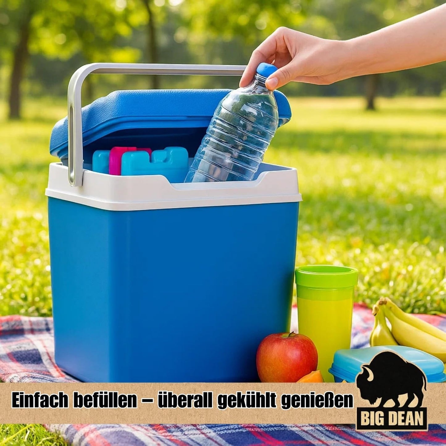Kühlbox mit 12 Kühlakkus