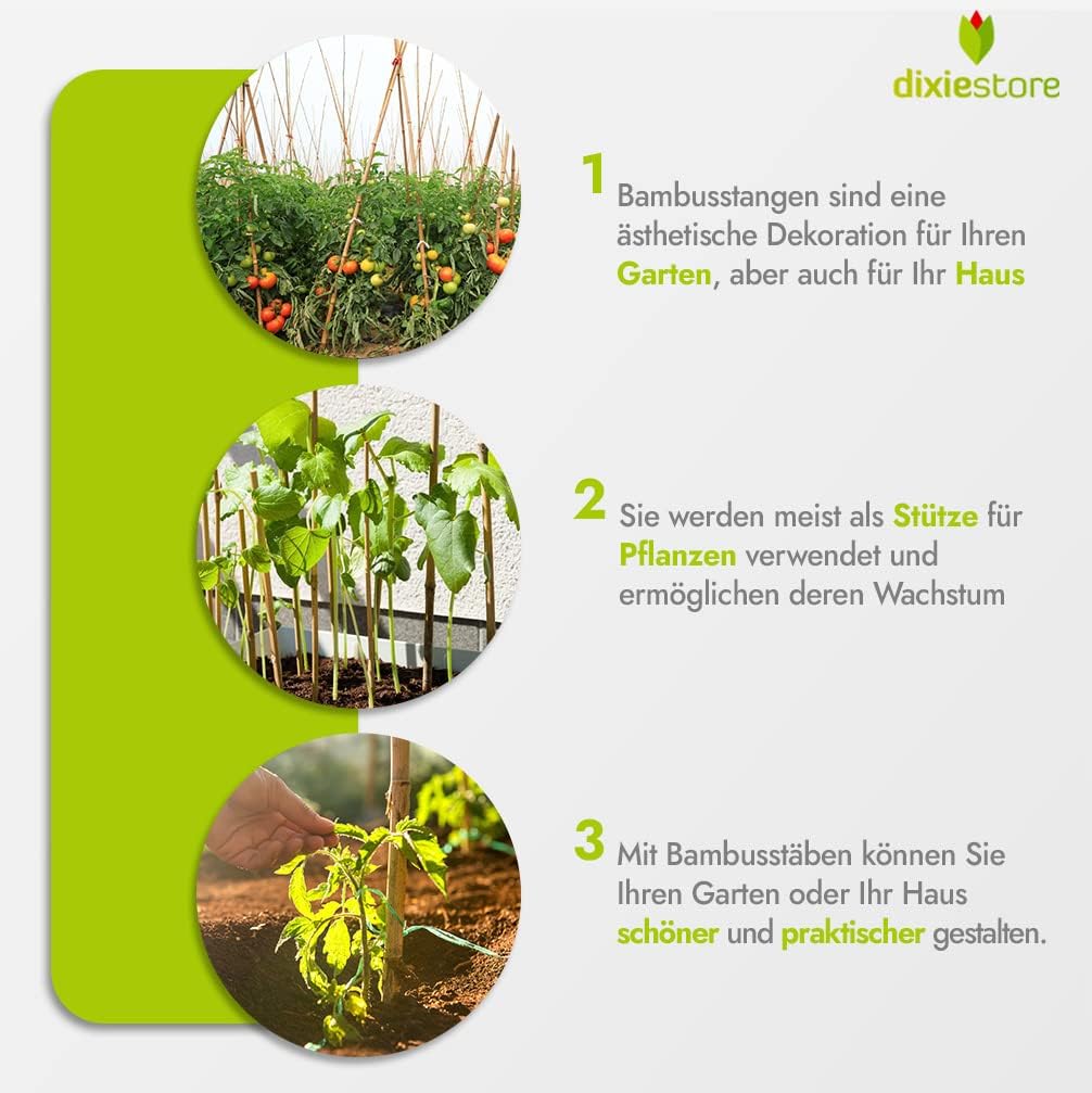 Bambus Pflanzenstützen-Set (10 Stück, 150 cm), 10,  150 cm x 18-20 mm