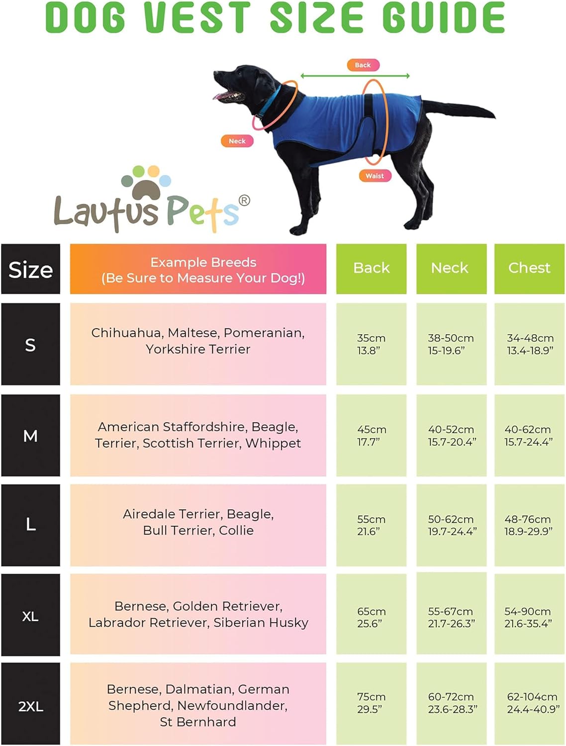 Hundemantel & Kühlweste für kleine Hunde, L Blau
