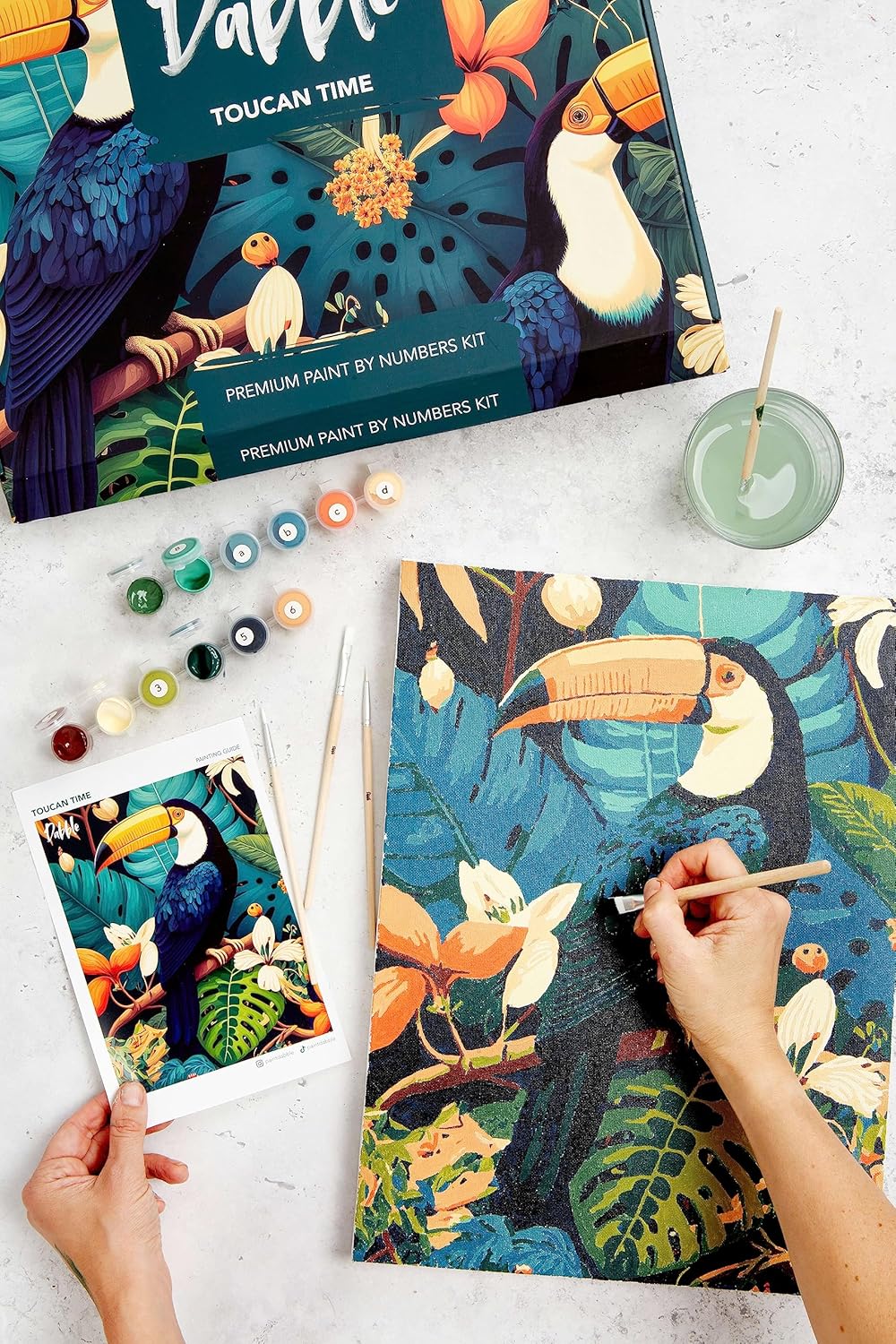 Toucan Time Malen-nach-Zahlen Kit für Erwachsene, Toucan Time
