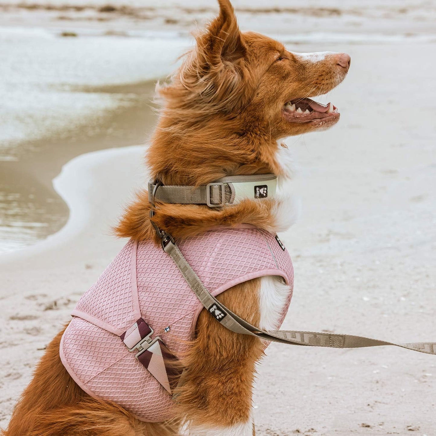Kühlweste für Hunde 40-50 cm, carnation pink 40-50cm