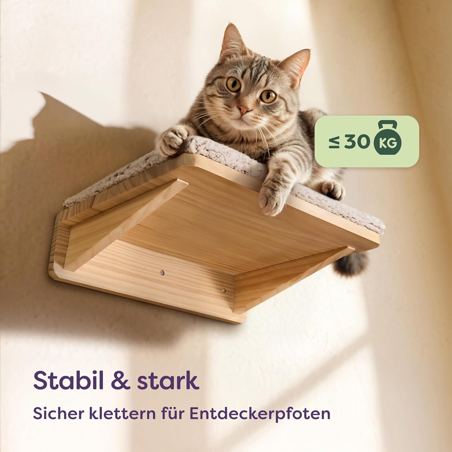 Kletterwand-Set mit Katzenbett & Treppen