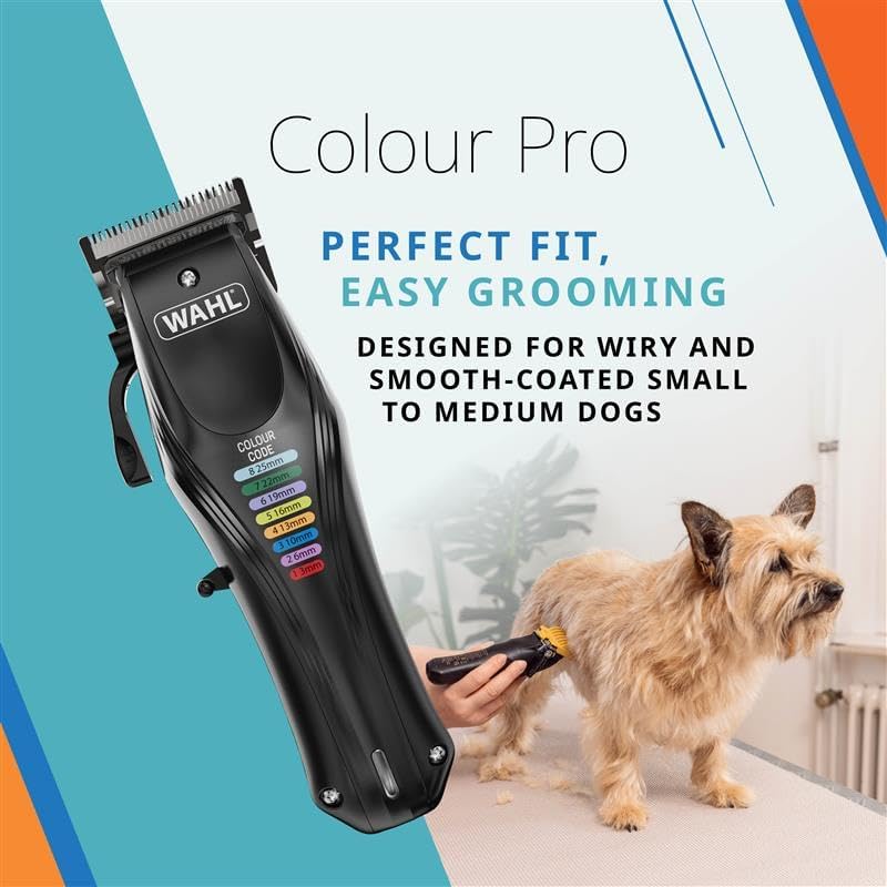 Color Pro Tierschermaschine mit Farb-Aufsätzen, geräuscharm