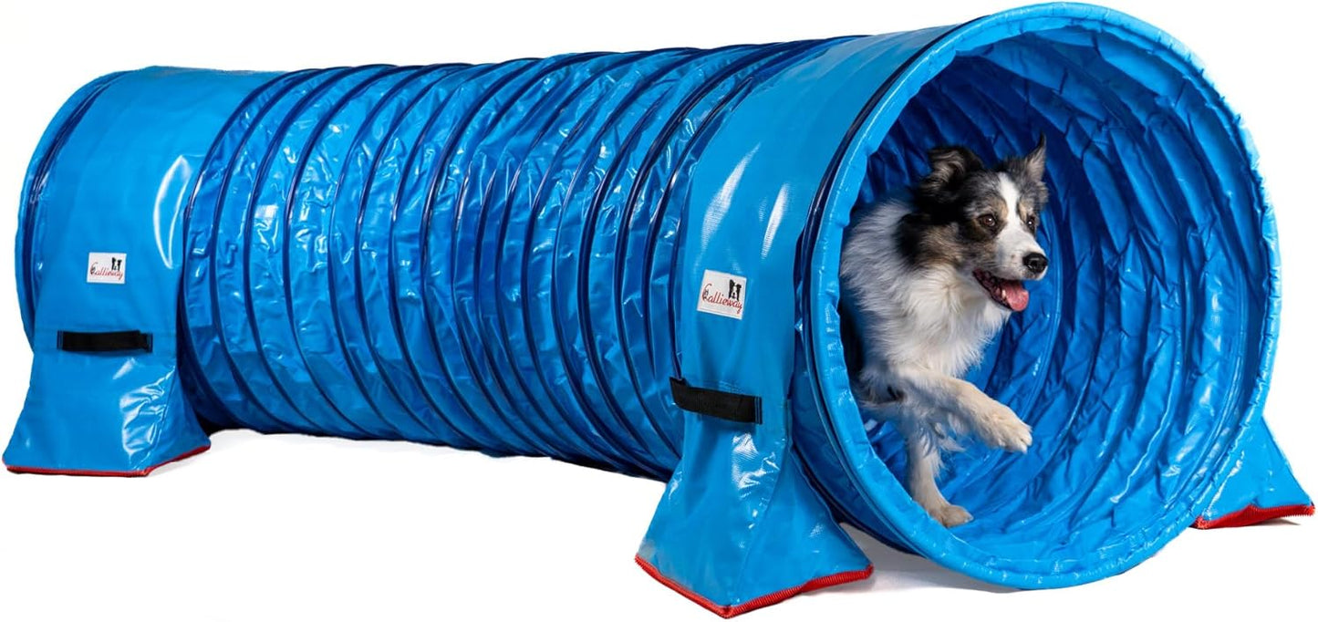 Agility Hundetunnel mit Stützsandsäcken, 3m, 3m / 80cm blau