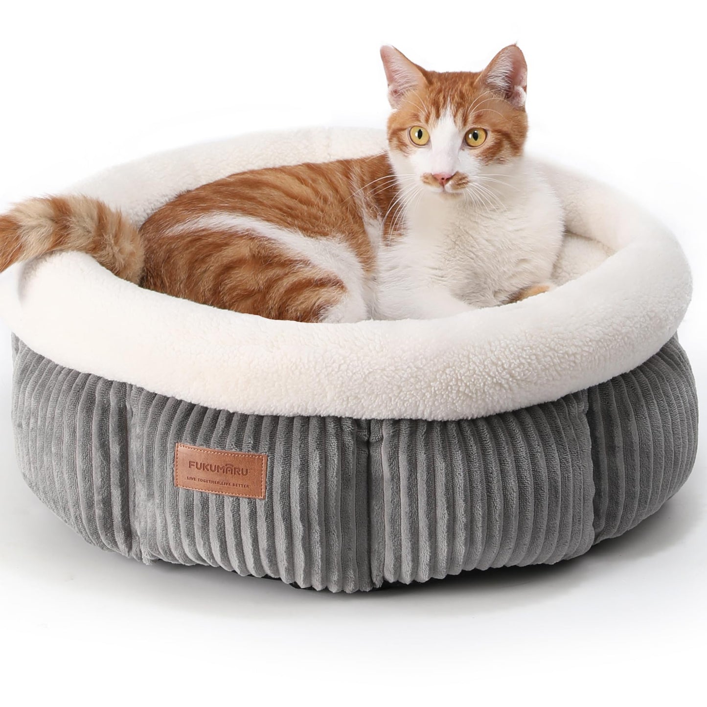 Katzenbett mit erhöhtem Rand, waschbar, grau
