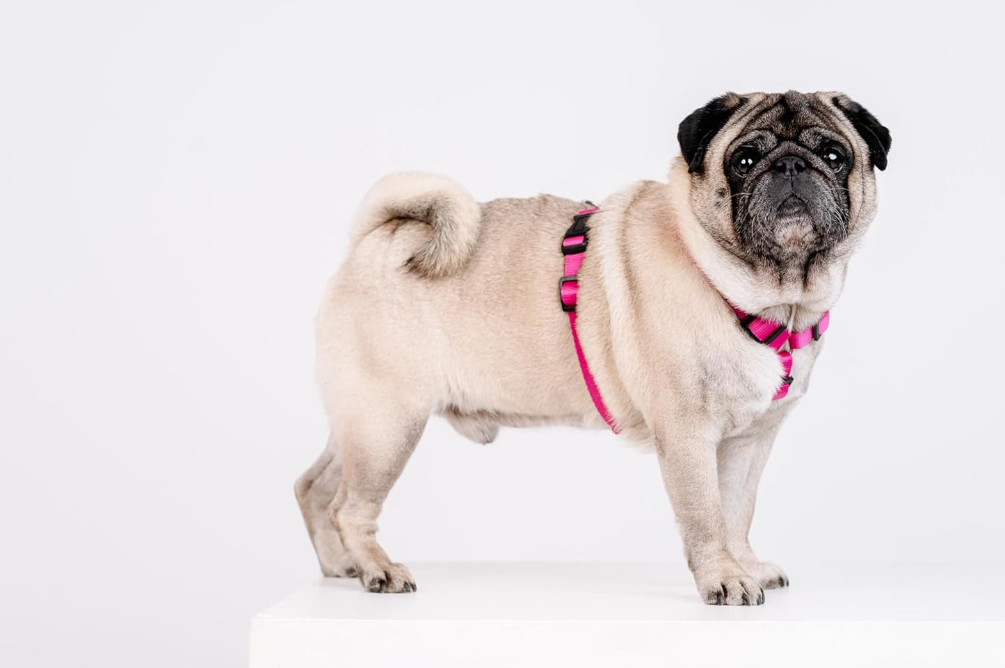 Guard - Ausbruchssicheres Hundegeschirr, M, Rosa