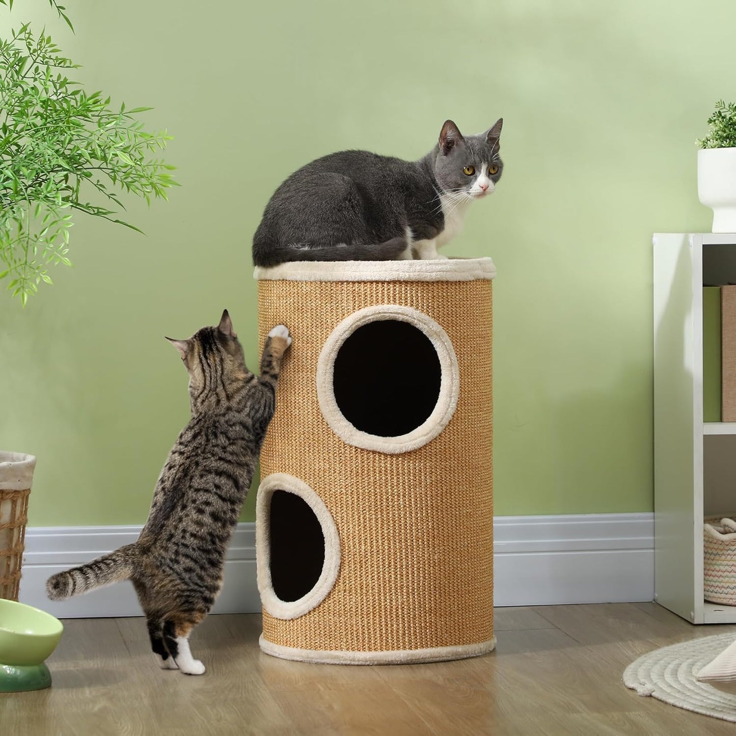 Zweistöckige Katzenkratztonne mit Plüschrand
