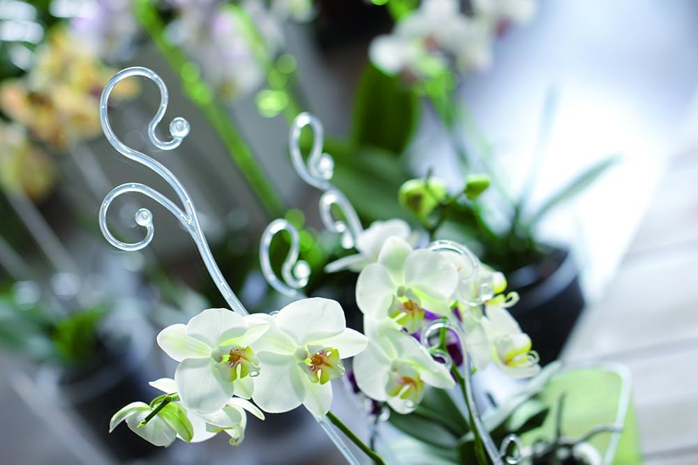 Orchideenstab Kunststoff, 58,5 cm Transparent