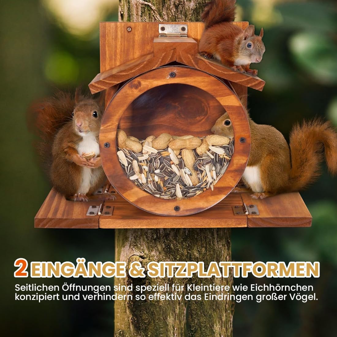 Eichhörnchen Futterstation mit Sitzplattformen