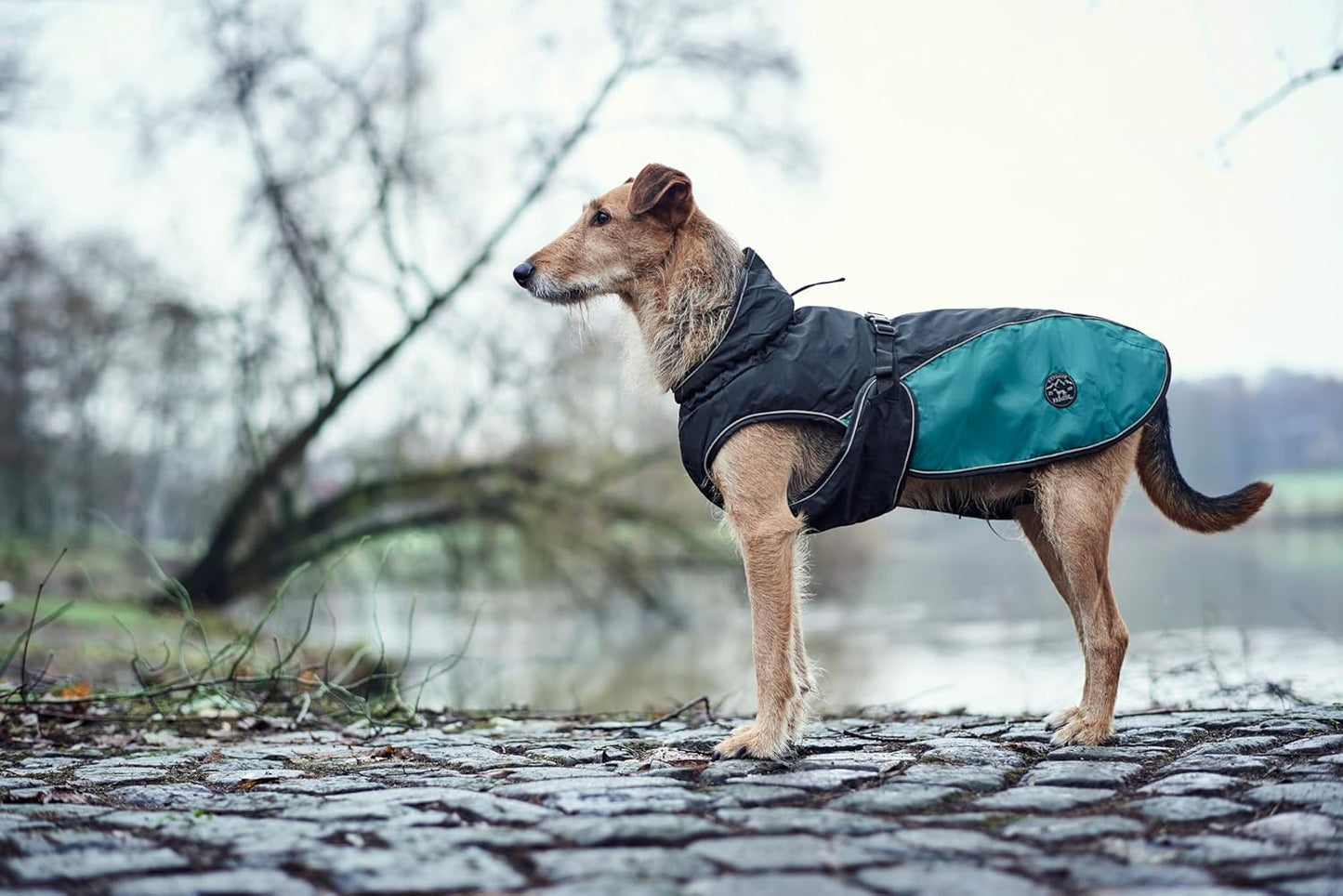 Hundemantel Uppsala Allrounder, 35 anthrazit/petrol