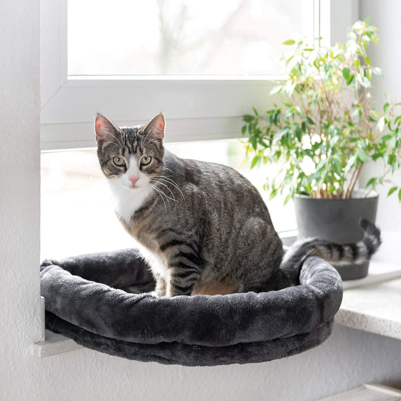 Loveseat Katzenfensterliege, Plüsch, anthrazit