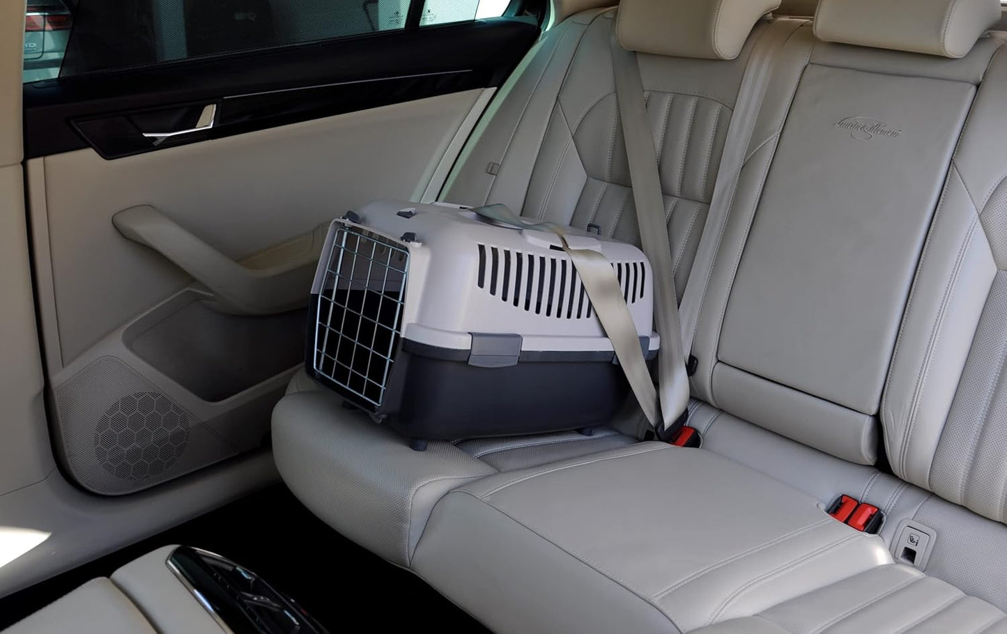 Hundetransportbox für kleine Hunde & Katzen, L 48 x B 32 x H 32 cm Grau