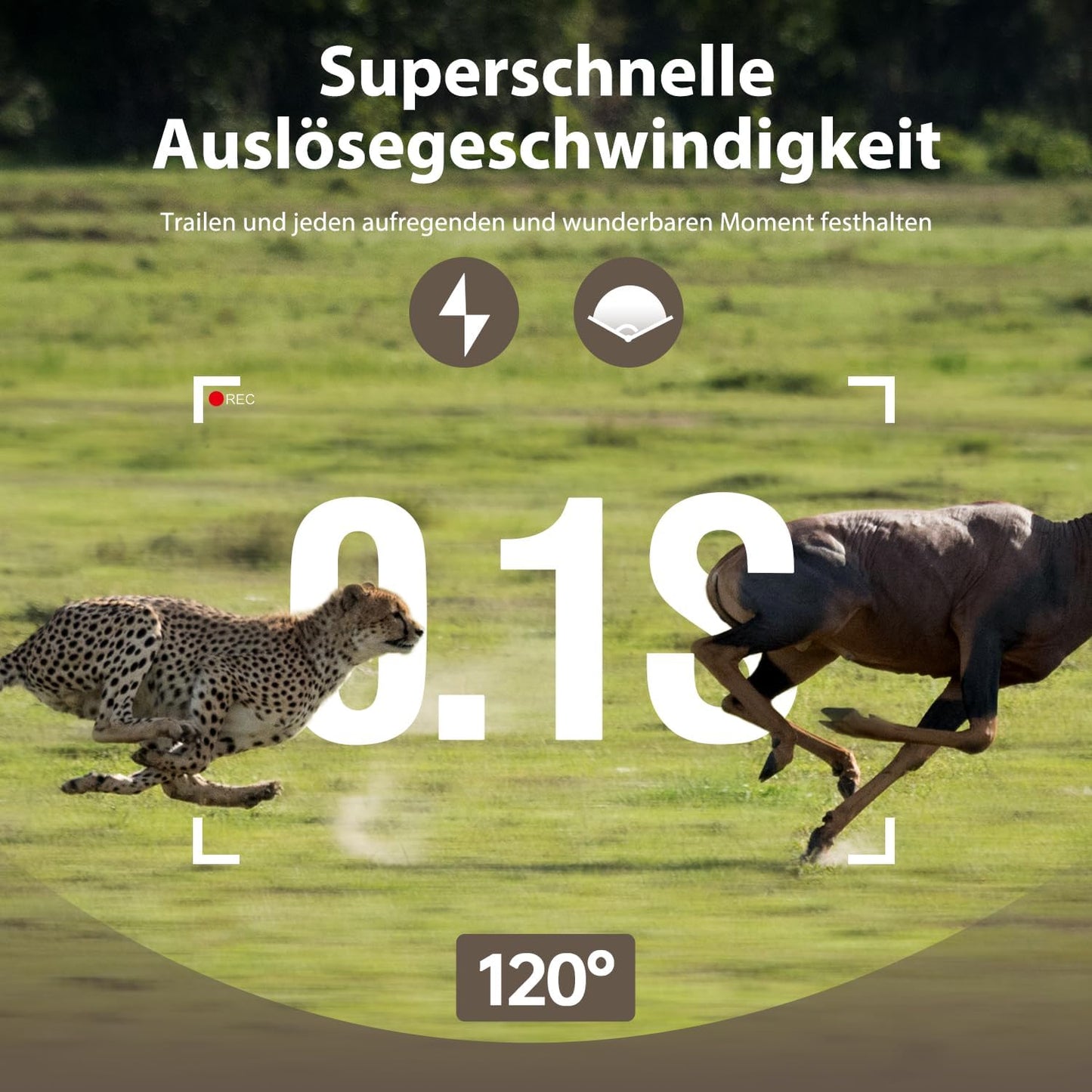 Wildkamera Solar mit Handyübertragung, Hellgrau