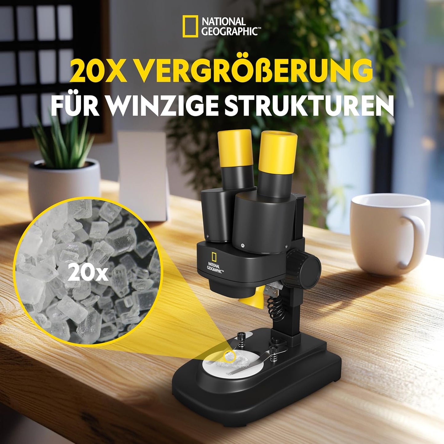 Stereo 3D Mikroskop mit 20x Vergrösserung