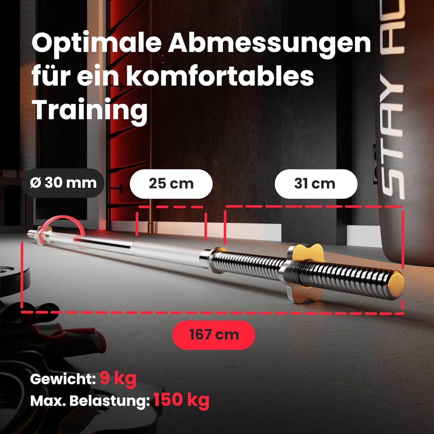 Hantelstangenset mit Lang- & SZ-Curlstange, Langhantel+SZ-Stange