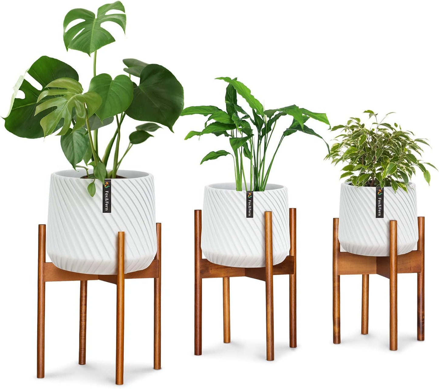 Pflanzenhocker Set, S/M/L / Akazie