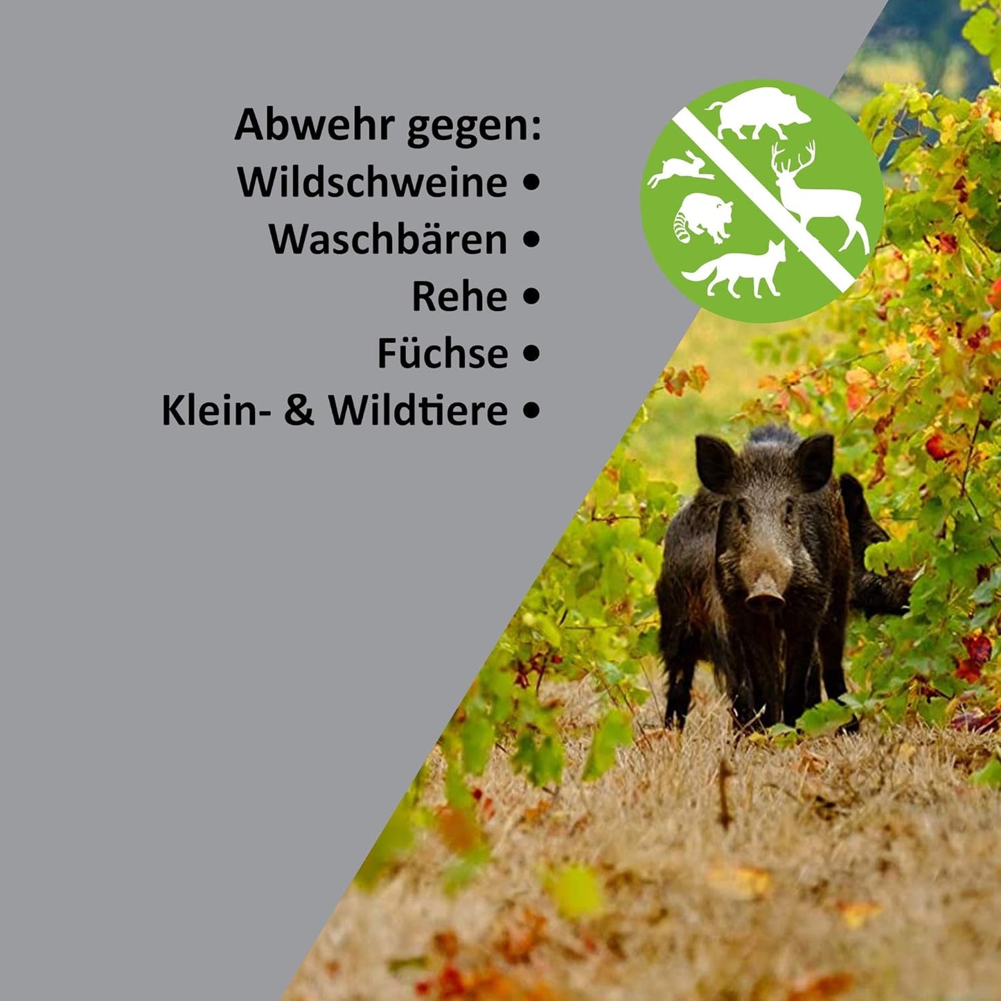 Wildtier- und Waschbärenvertreiber, 10