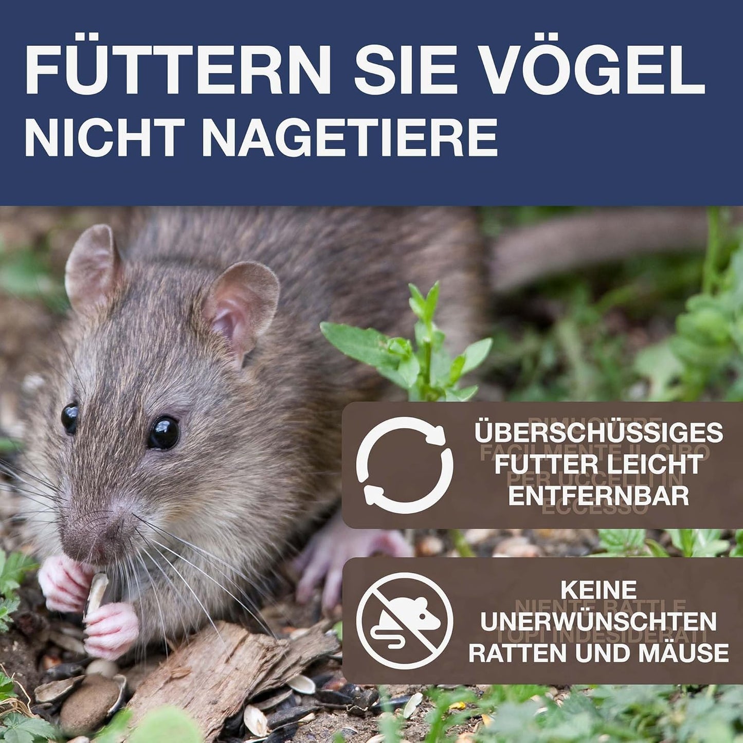 Vogel-Futtersilo Lucerne SMART BIRDS, Indigo Lucerne
