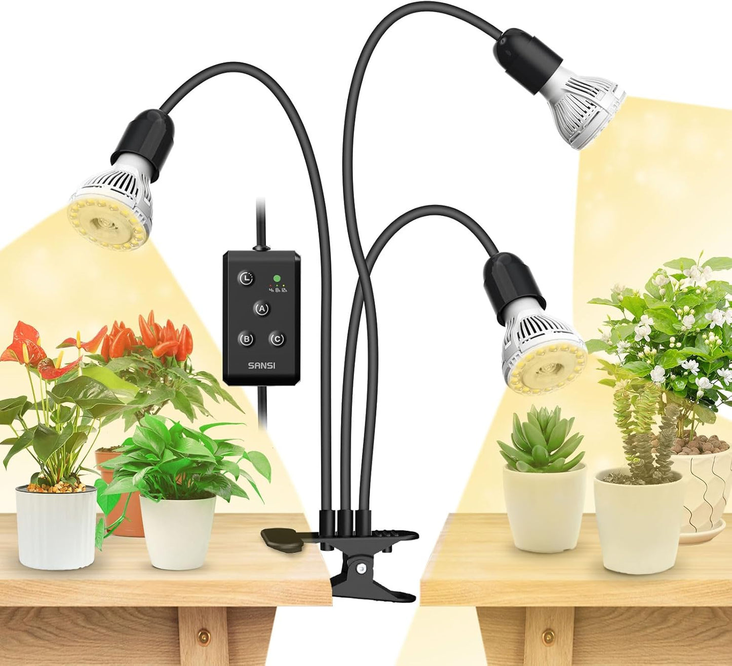 LED Pflanzenlampe mit Timer, 30W mit Timer