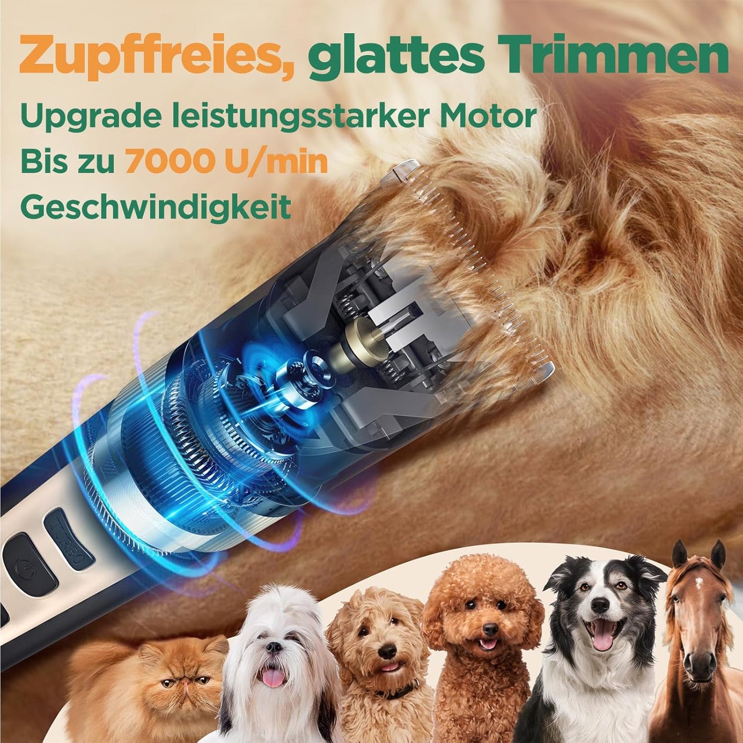 6-in-1 Hundeschermaschine mit Scherenset, 7000 U/min, 6-in-1 Schermaschine + Profi Scherenset Gold