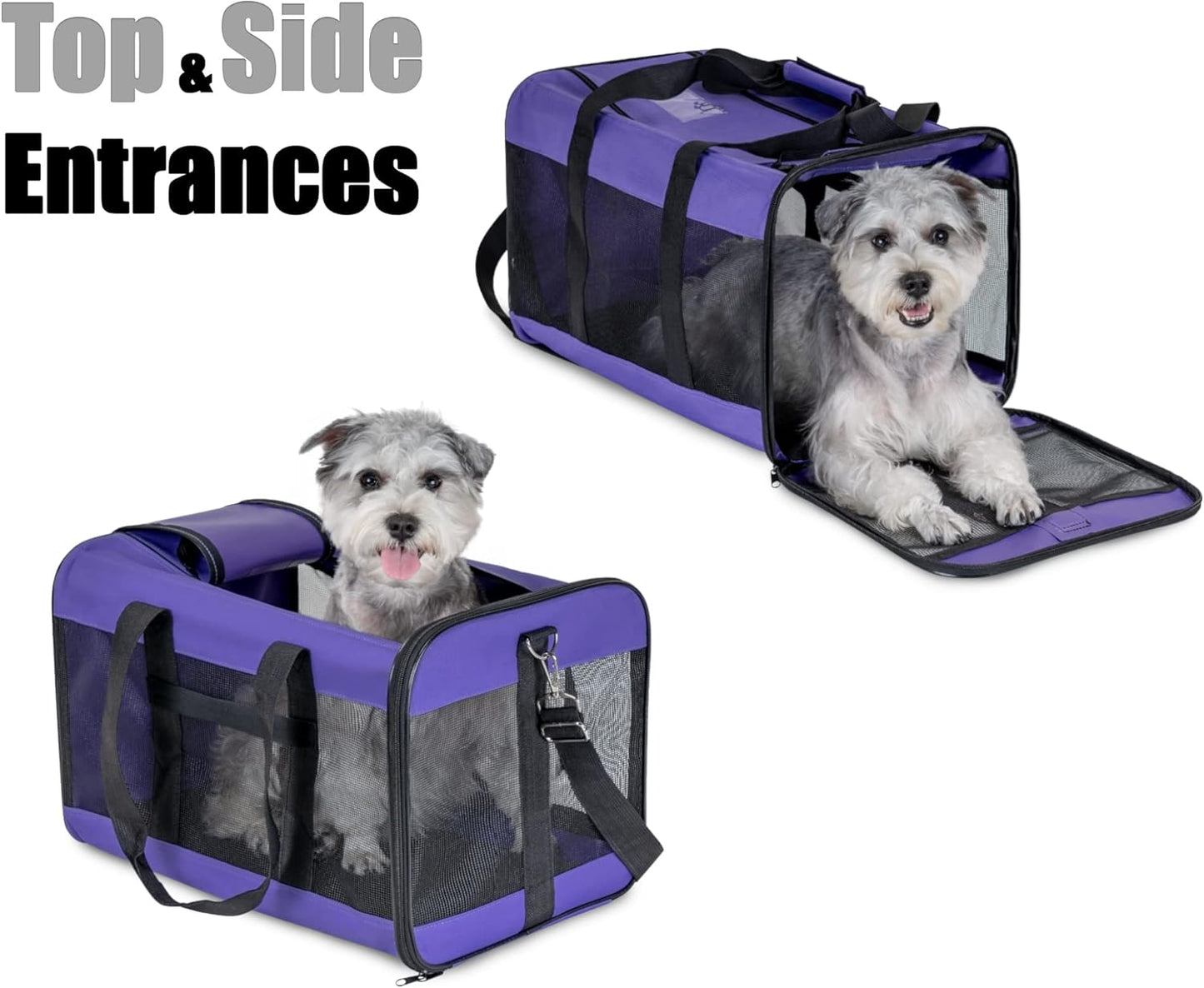Faltbare Hundetransportbox, Gross Violett