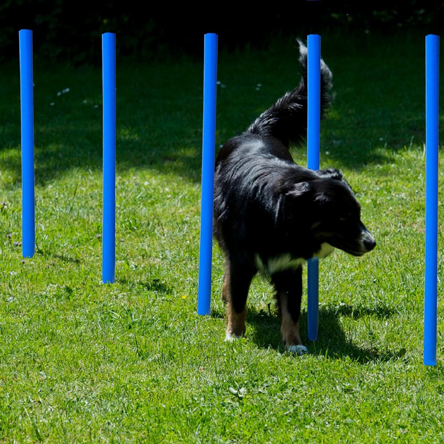 Agility Hundetraining-Set mit Hürden & Slalomstangen, Set ohne Tunnel