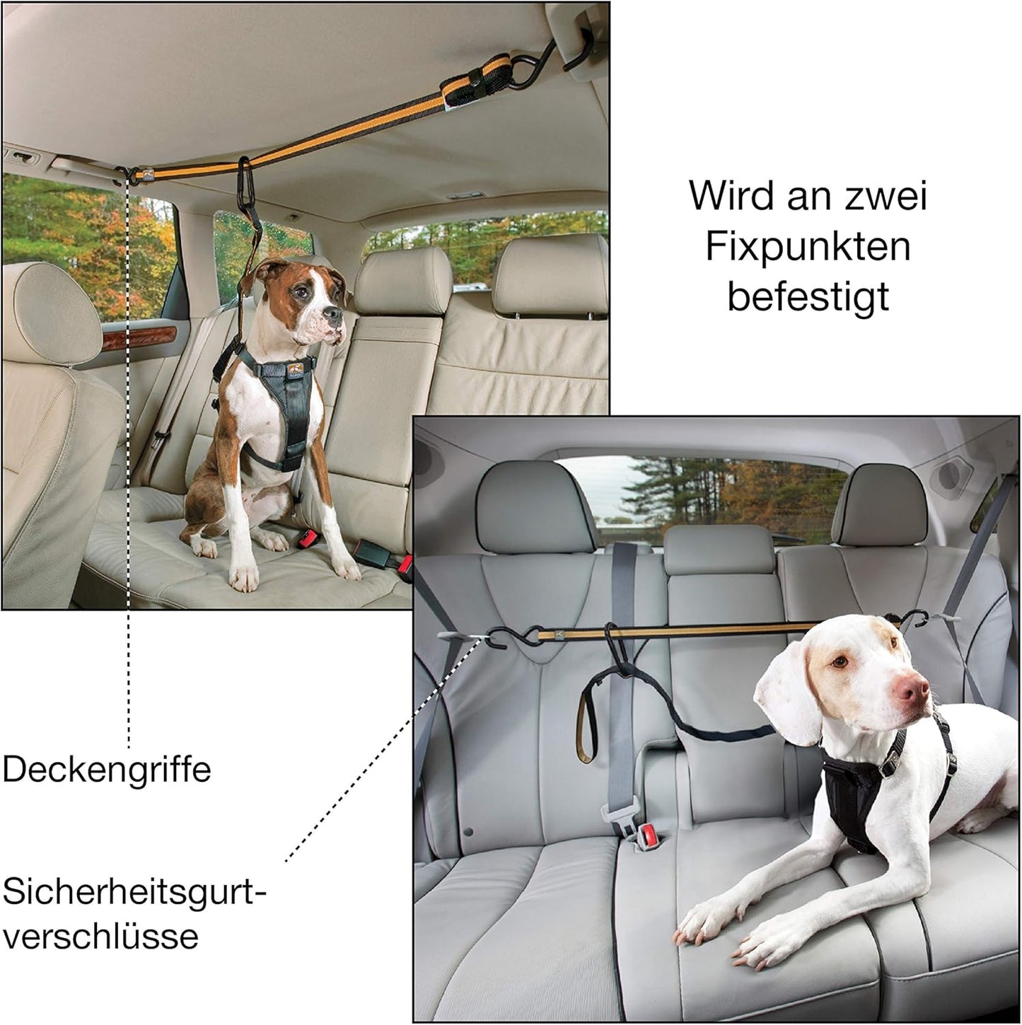 Auto-Sicherheitsgurt für Hunde mit Zip Line System, Zip Line - Karabiner Klip, Orange, Einzelpack