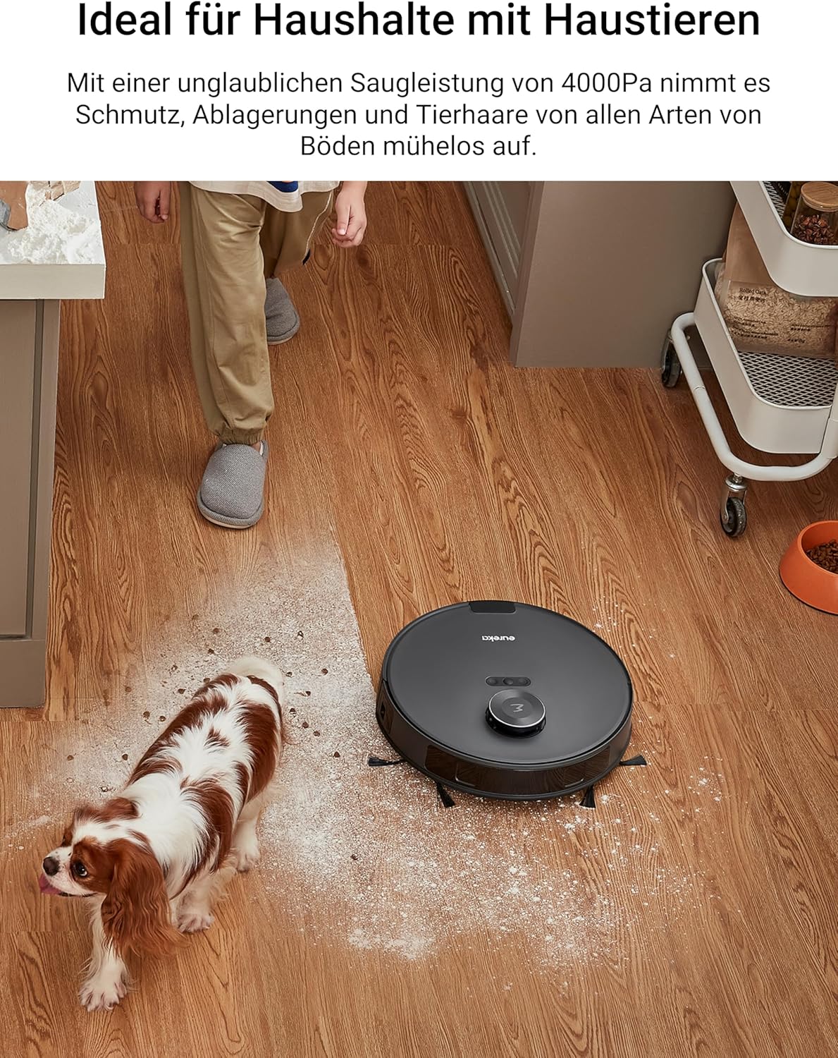 Saug- & Wischroboter E10s, E10s Schwarz