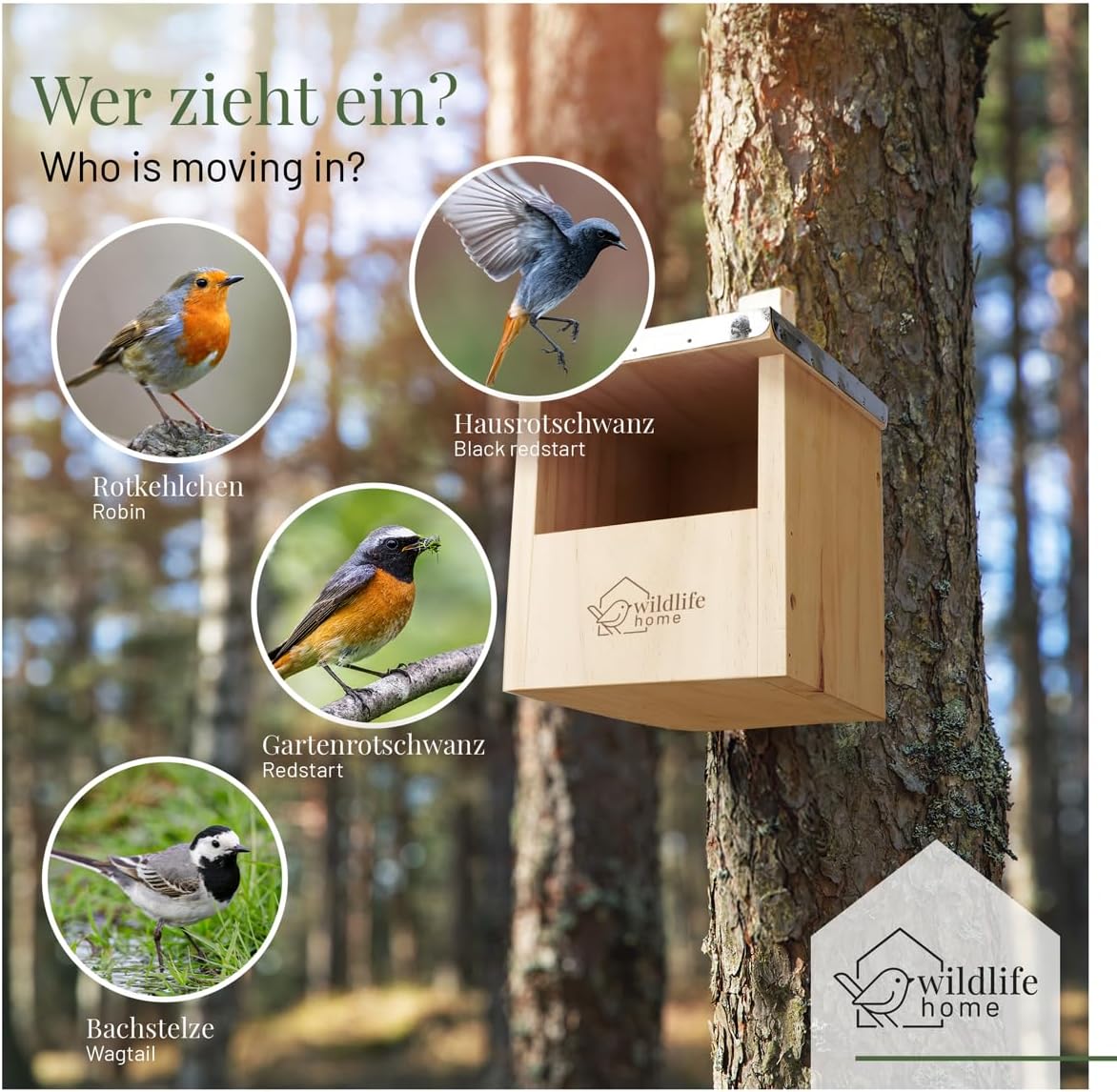 Vogel Nistkasten für Zaunkönig & Halbhöhlenbrüter, 2 Stück, 2 x Halbhöhle mit Metalldach