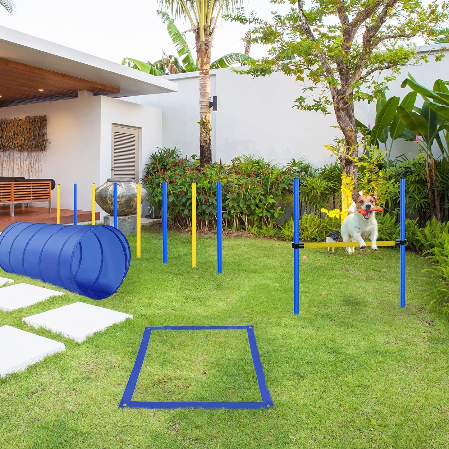 Agility Trainings-Set
