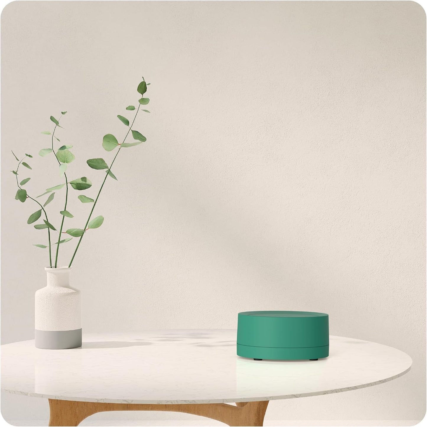 Now Luftqualität-Messgerät mit CO2 Melder & Smart Home Funktion, Grün
