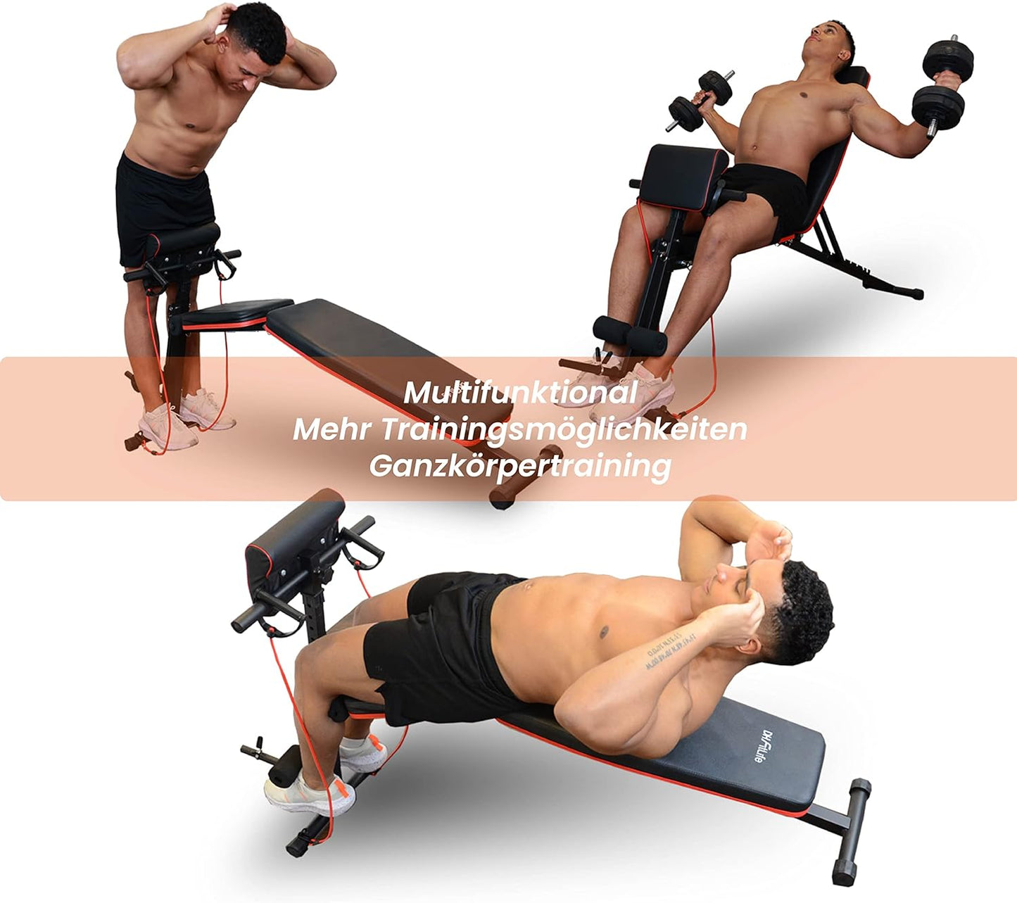 Trainingsbank, Modell 1 mit Curlbank und Beinstrecker