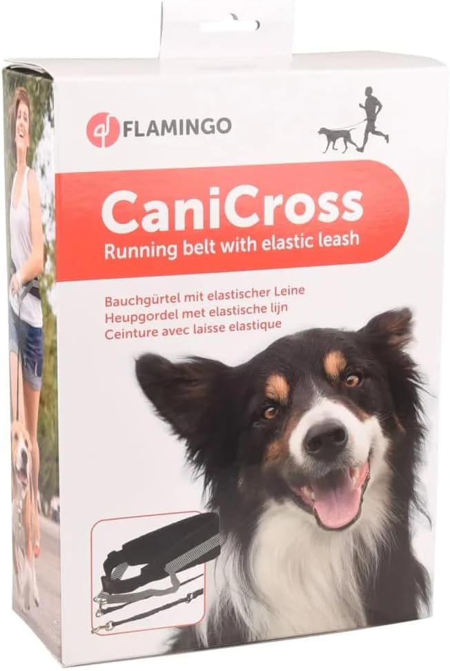 CaniCross Joggingleine mit Hüftgurt, 125 cm, verstellbar, Schwarz