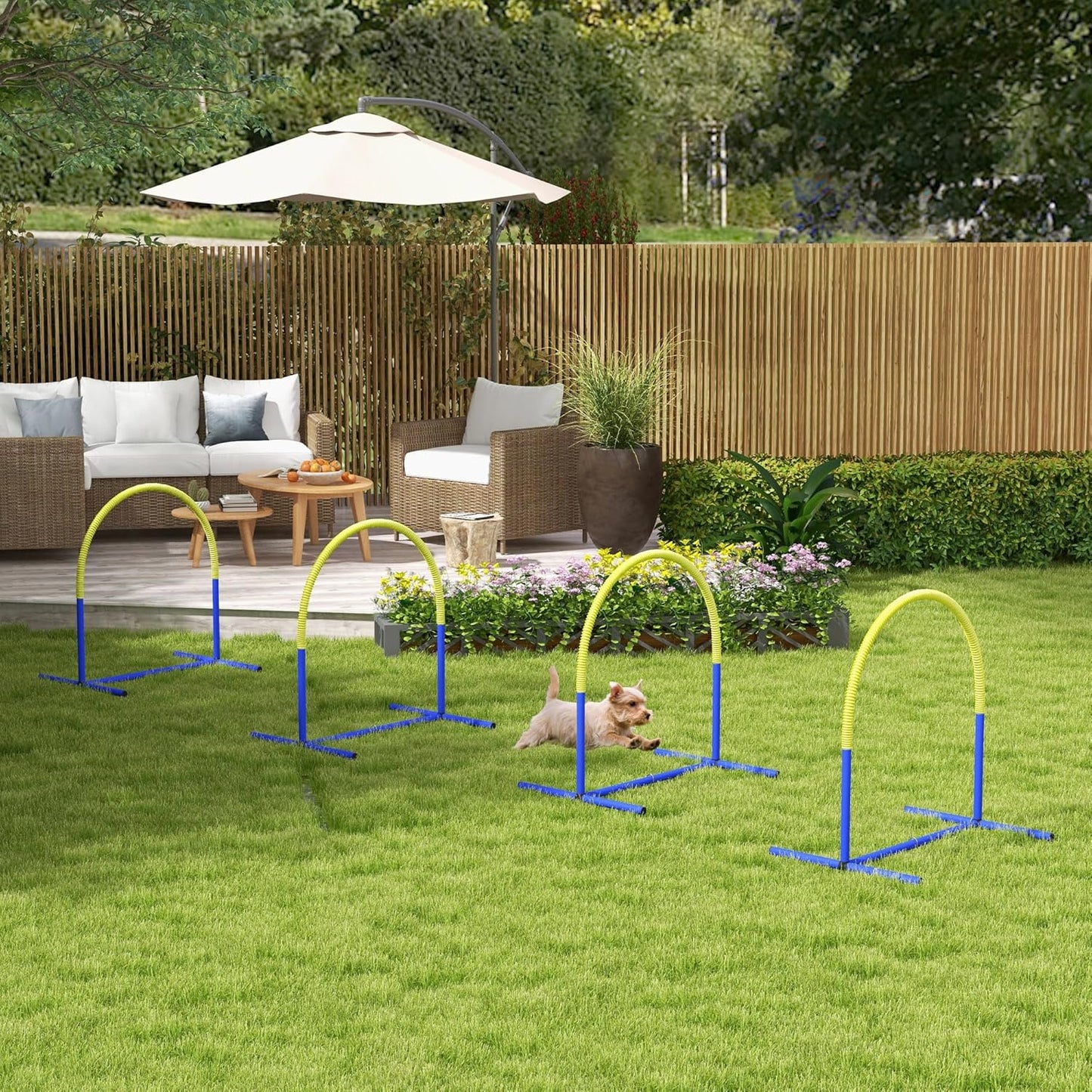 Hund Agility Set PE, ABS Blau+Gelb, Blau+Gelb