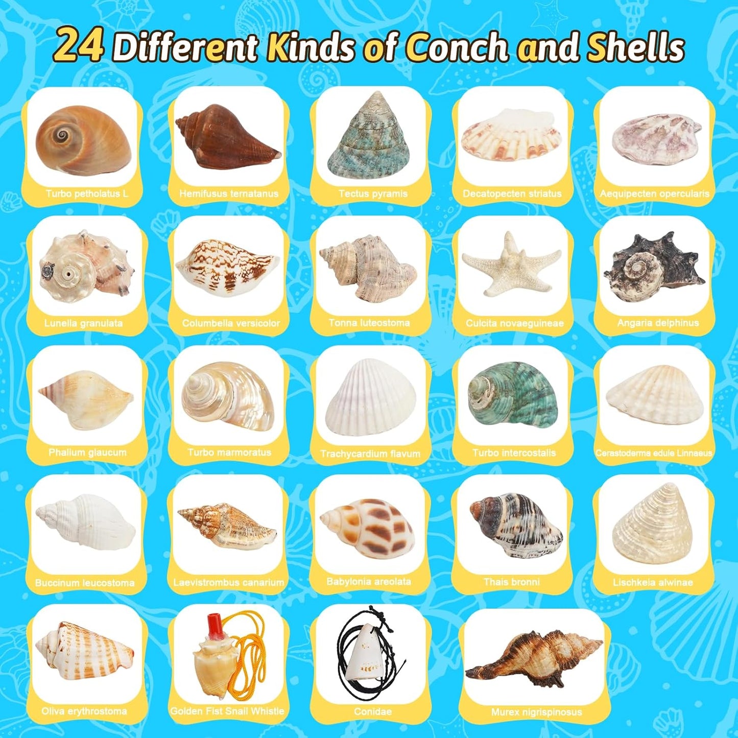 Adventskalender für Kinder