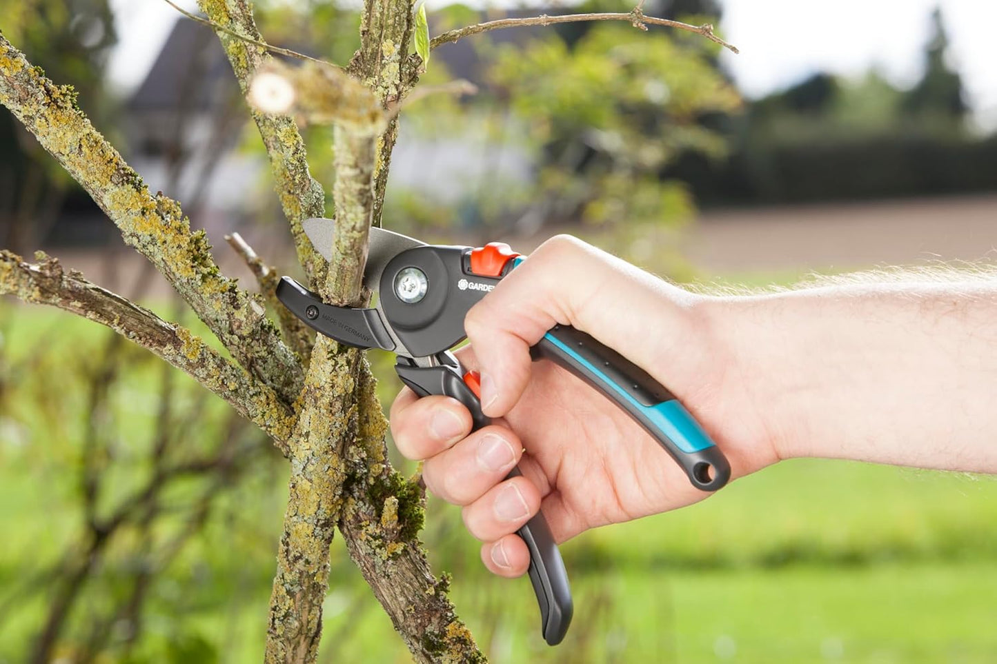 Gartenschere, Amboss