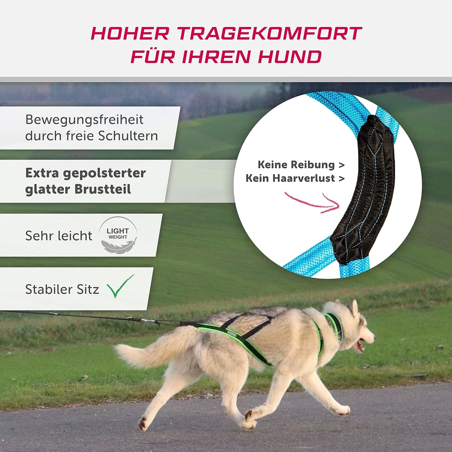 Zuggeschirr X Back, XS
