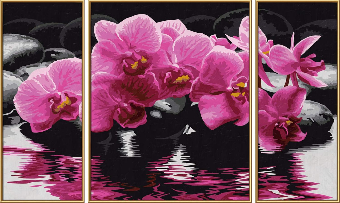 Malen nach Zahlen Orchideen