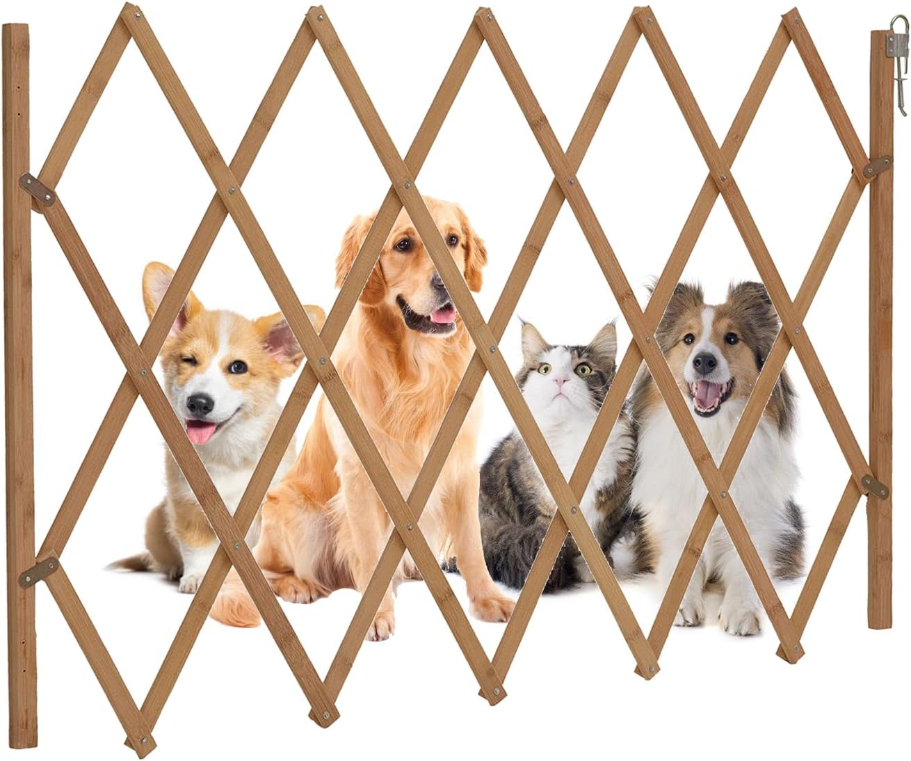 Hundeabsperrgitter