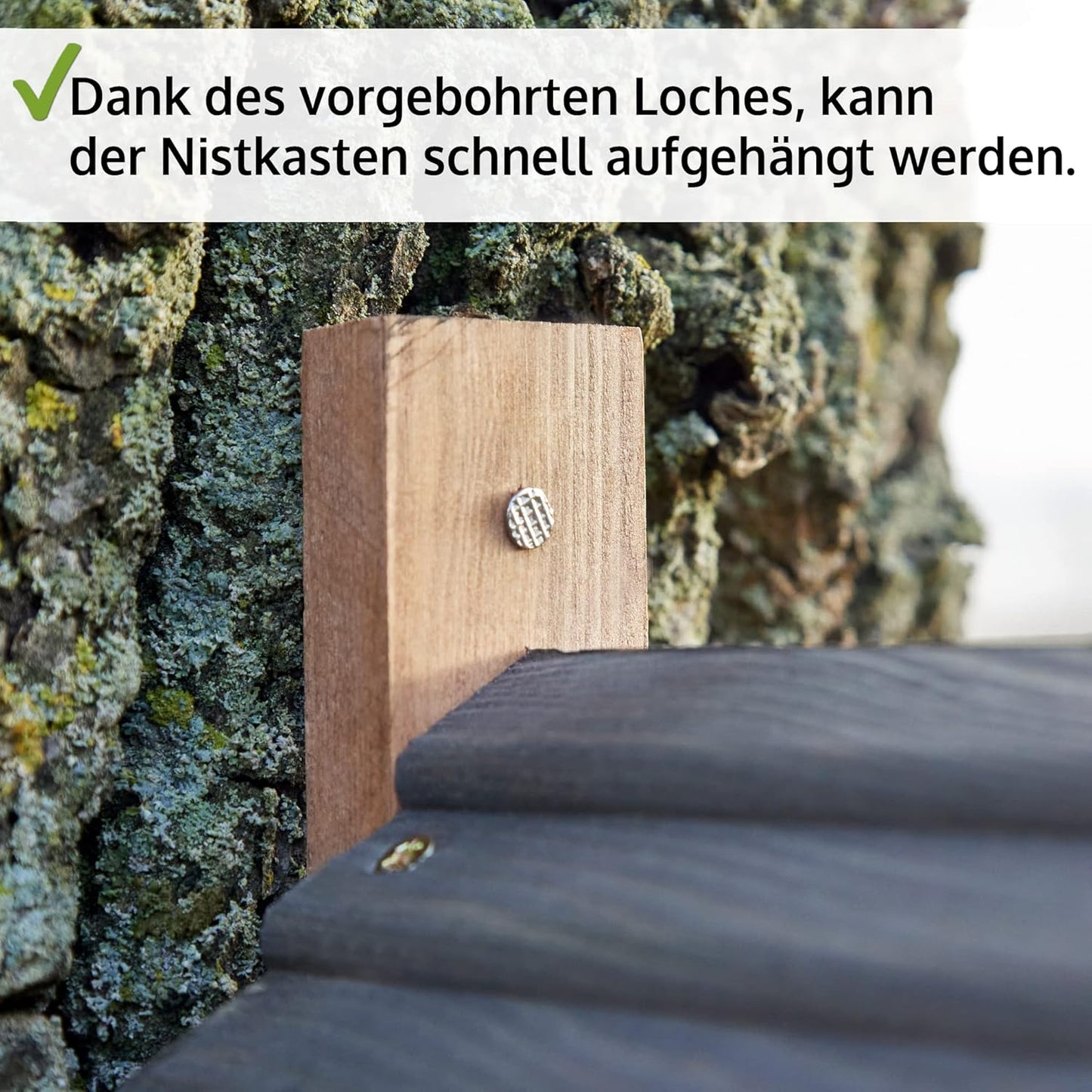 Nistkasten, Nistkasten Braun