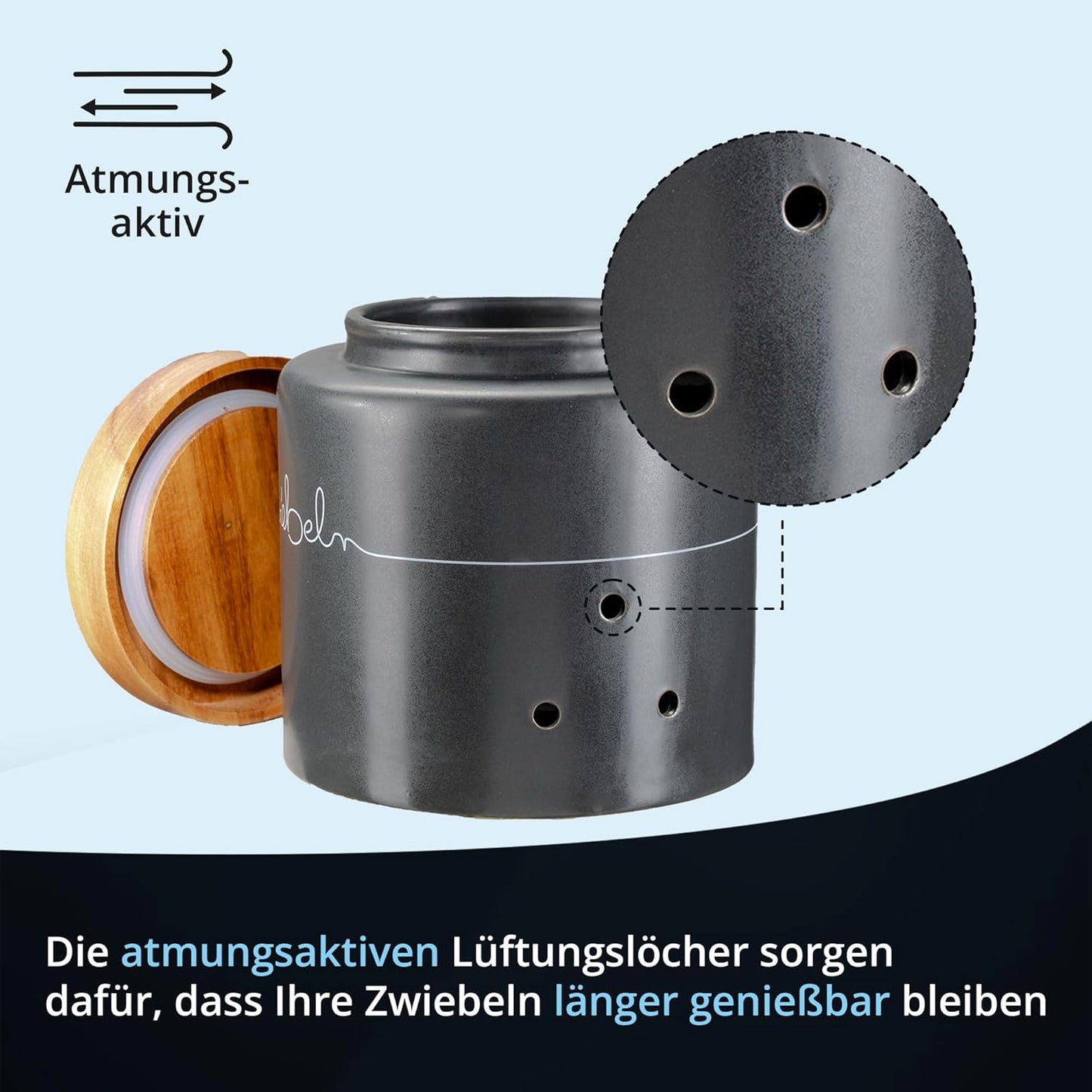 Zwiebeldose, Zwiebel