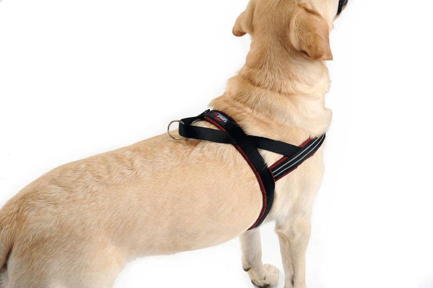 Sport-Hundegeschirr ComfortFlex, gepolstert, verstellbar, s, Violett