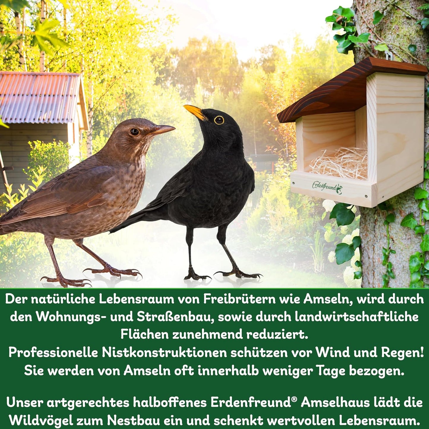 Nistkasten für Amseln, Amselhaus modern artgerecht