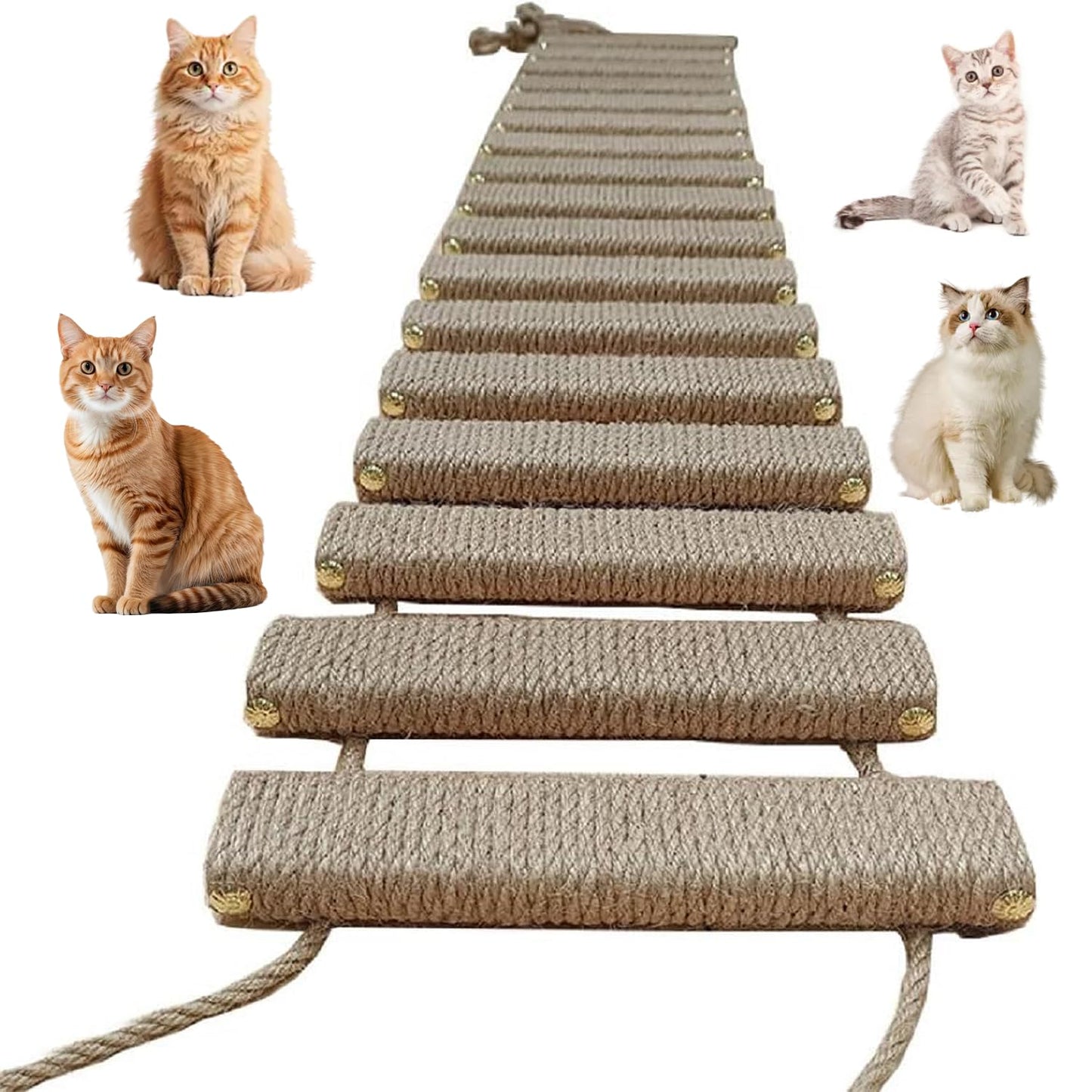 2-in-1 Kletterleiter & Katzentreppe