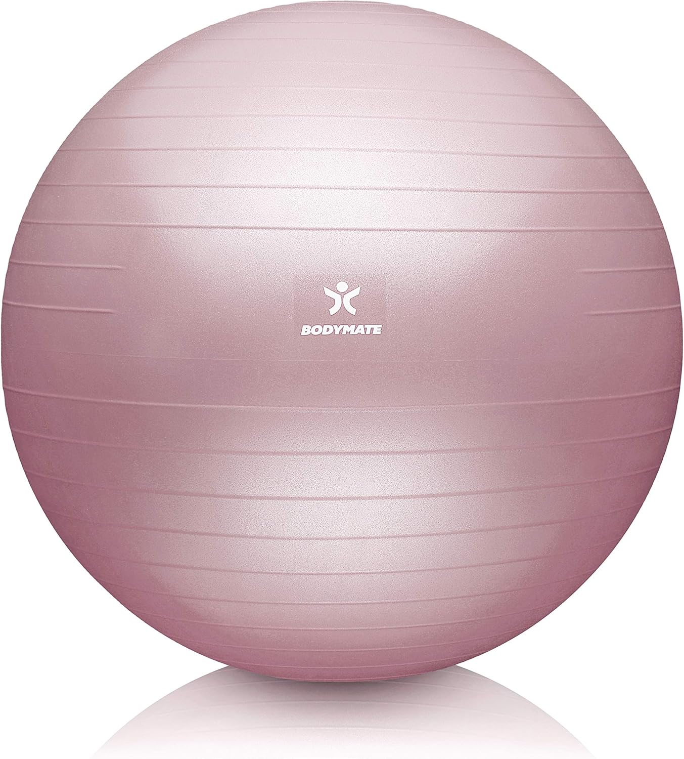 Gymnastikball mit Pumpe & E-Book, 65 cm, Rose 65 cm (für Körpergröße 155-175cm)